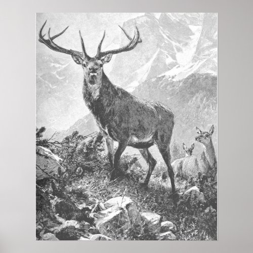 Deer in the High Mountains Poster