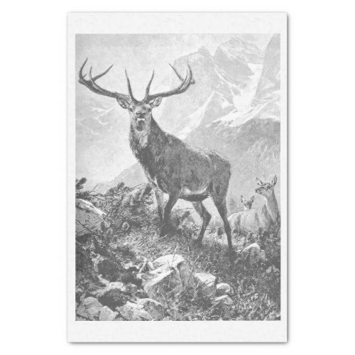 Deer in the High Mountains Tissue Paper