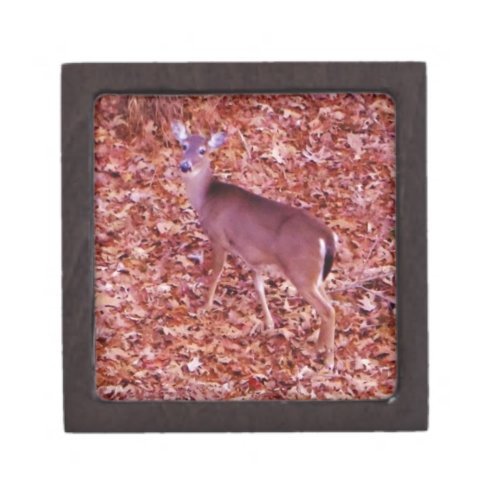 Deer in the leaves jewelry box