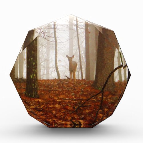 Deer in the Mist Award