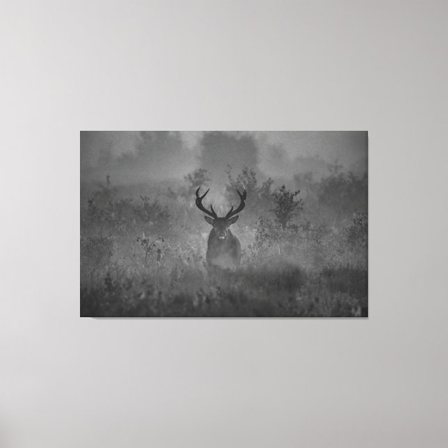 Deer In The Mist Canvas Print (Front)
