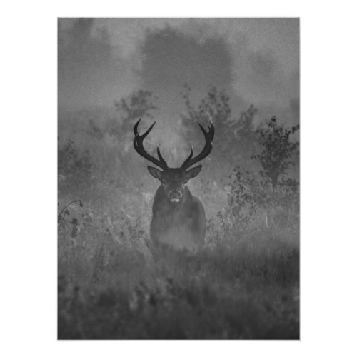 Deer In The Mist Photo Print