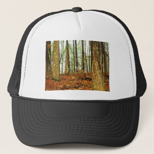 Deer in the Misty Pines Trucker Hat