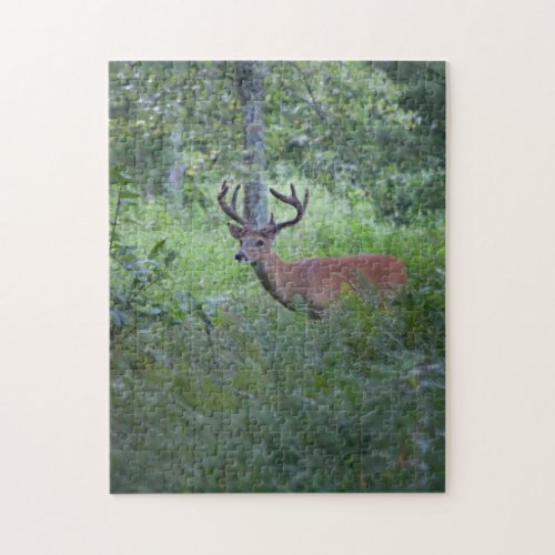 Deer in the Smoky Mountains Puzzle