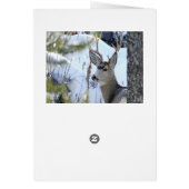 Deer In The Snow (Back)