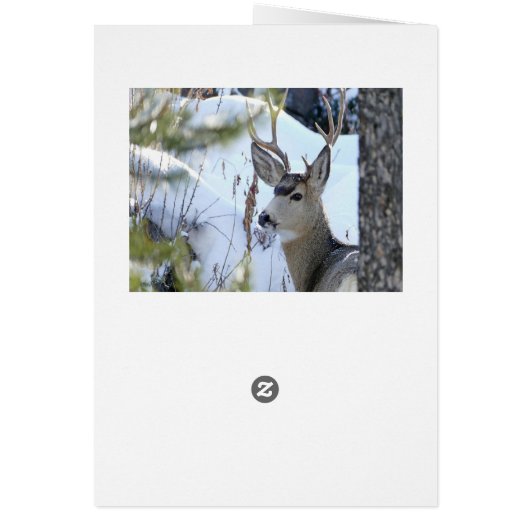 Deer In The Snow (Back)