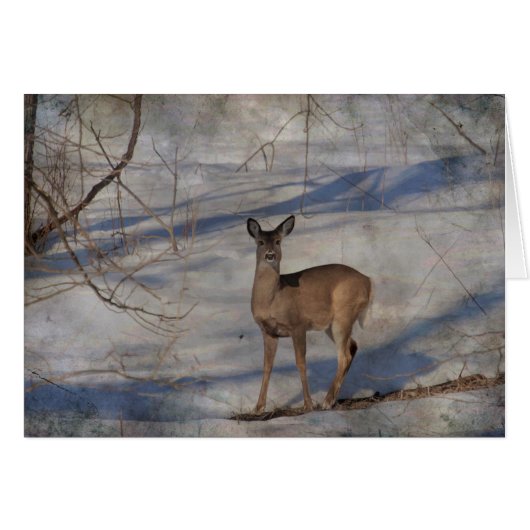 Deer in the snow cards (Front Horizontal)
