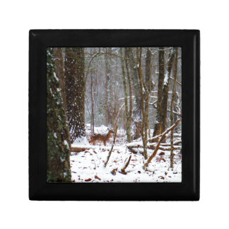 Deer in the snow fall gift box