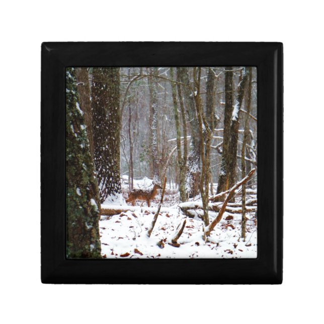 Deer in the snow fall gift box (Front)