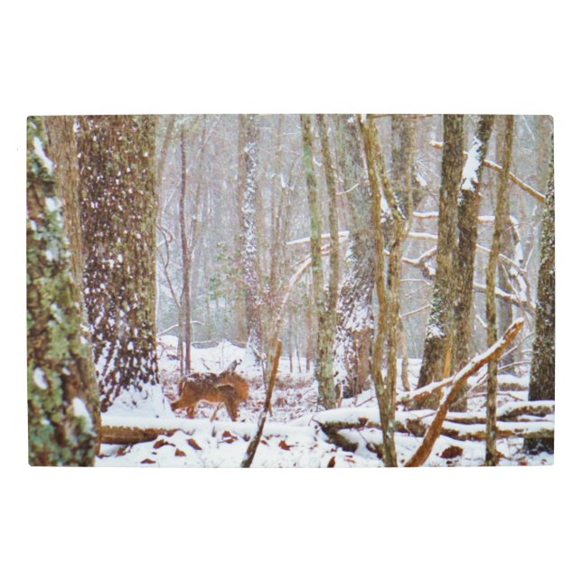 Deer in the snow Lake Arrowhead Ga Metal Print (Front)