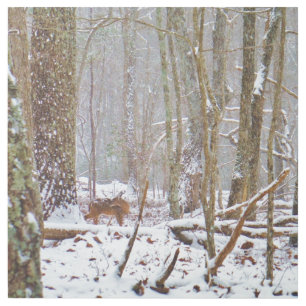 Deer in the snow Lake Arrowhead Ga Metal Print