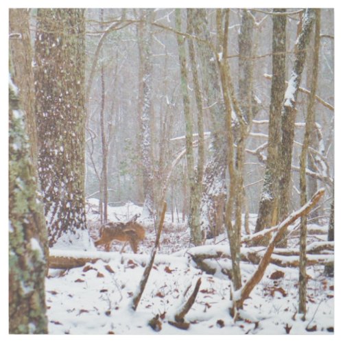 Deer in the snow Lake Arrowhead Ga Metal Print