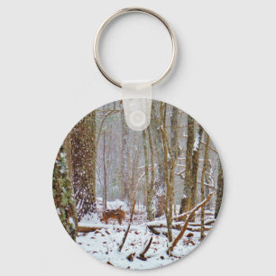 Deer in the snow, licking keychain