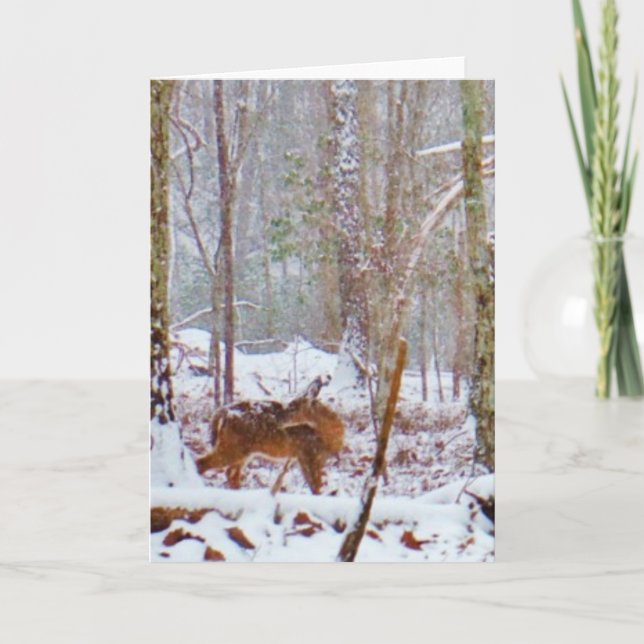 Deer in the snow, licking leg holiday card (Front)