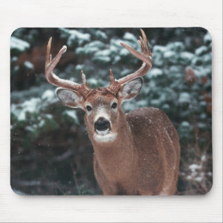 Deer in the Snow Mousepad