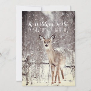 Deer In The Snow Winter Holiday Card