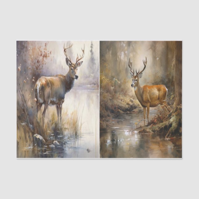 Deer in the Stream  Tissue Paper (Front)