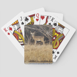 Deer in the Thicket Playing Cards