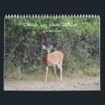 Deer in the Wild Photographic Calendar<br><div class="desc">This pretty calendar features my original photographs of wild White-tailed deer seen in Texas. These calendars are high quality and vibrant. You may choose other sizes and other options if desired. This unique calendar would make a great gift for a deer lover, hunter or animal lover in the new year....</div>