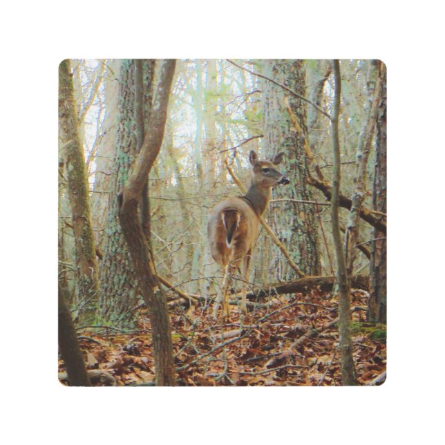 Deer in the wood. Camo Camouflage Metal Print (Front)