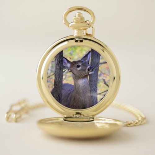 Deer In the Wood Pocket Watch