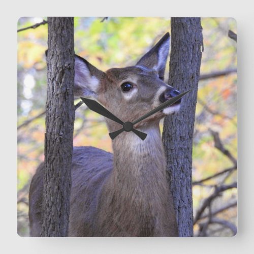 Deer In the Wood Square Wall Clock