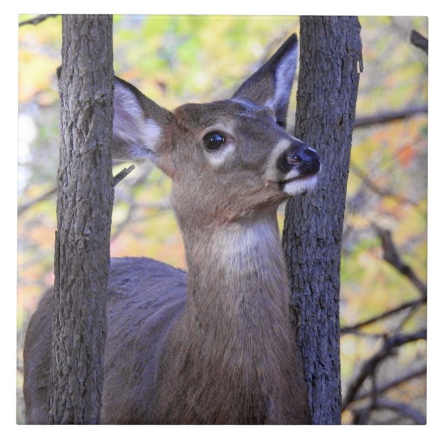 Deer in The Woods Ceramic Tile (Front)