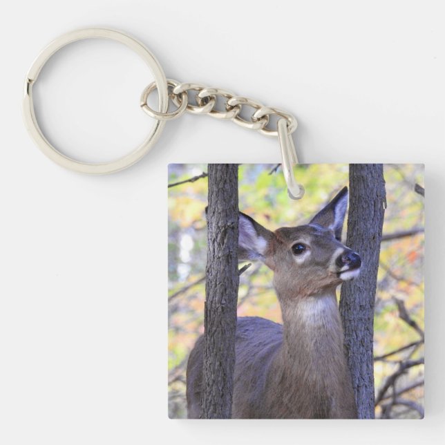 Deer in The Woods Keychain (Front)