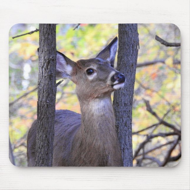 Deer in The Woods Mouse Pad (Front)