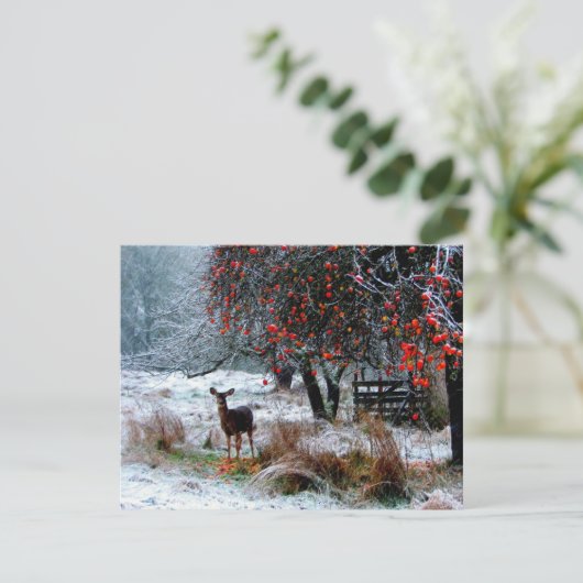 Deer in Winter (Standing Front)