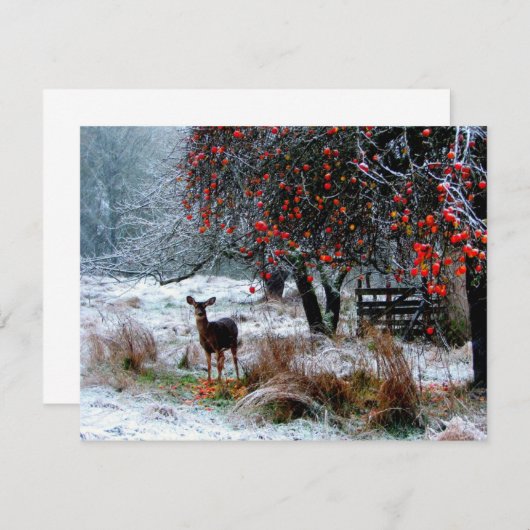 Deer in Winter (Front/Back)