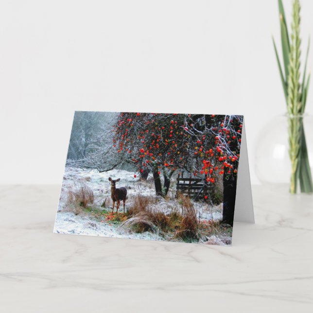 Deer in Winter Holiday Card (Front)