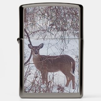 Deer in Winter Photo 