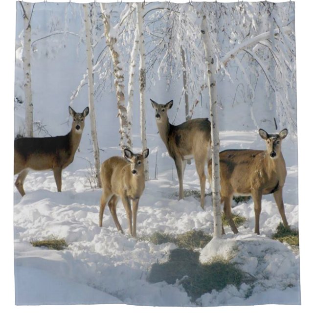Deer in Winter Shower Curtain (Front)