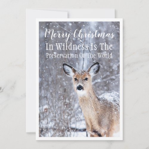 Deer In Winter Snow Woodlands Christmas Greeting