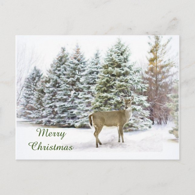 Deer in Winter Wonderland Merry Christmas Postcard (Front)