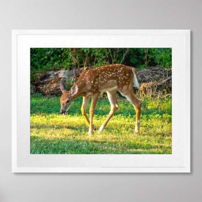 Deer in Woods Framed Art (Framed Front)