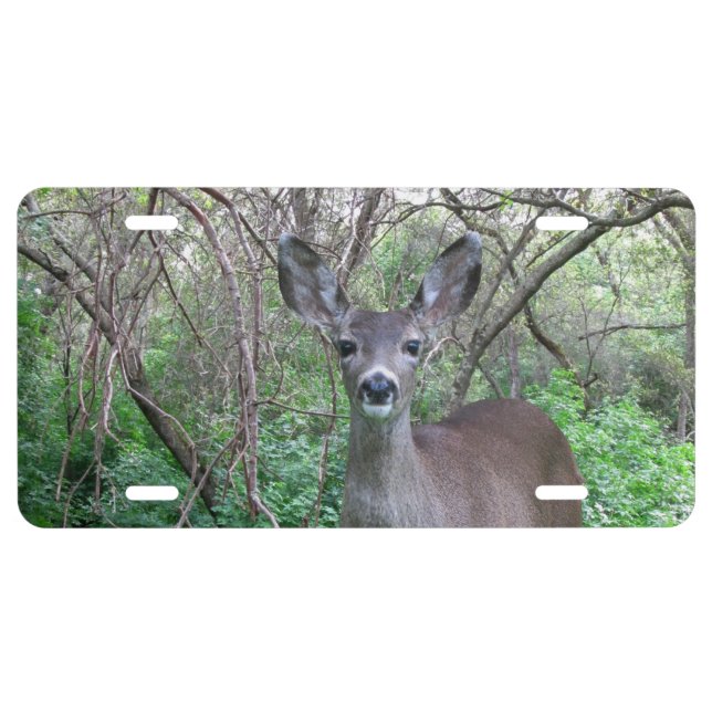 Deer in Woods Front License Plate (Front)