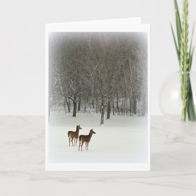 Deer in Woods in Snow Greeting Card (Front)