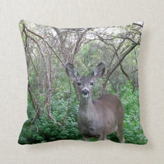Deer in Woods Pillow