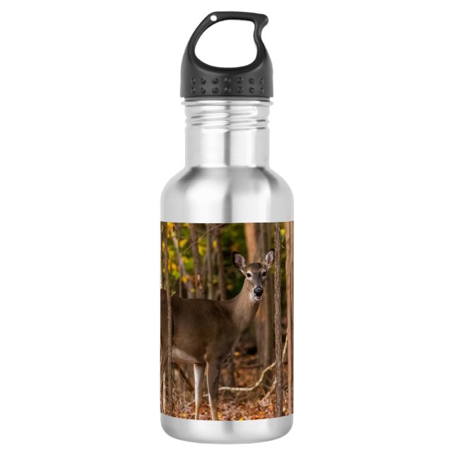 Deer in Woods Stainless Steel Water Bottle (Front)