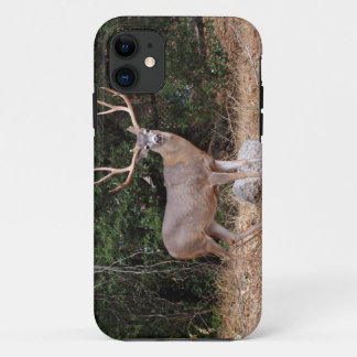 Deer iPhone 5 11 Case