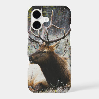 Deer iPhone 17 Case