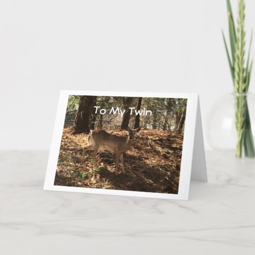 DEER IS KEEPING EYE ON YOUR TWIN FUN BIRTHDAY CARD