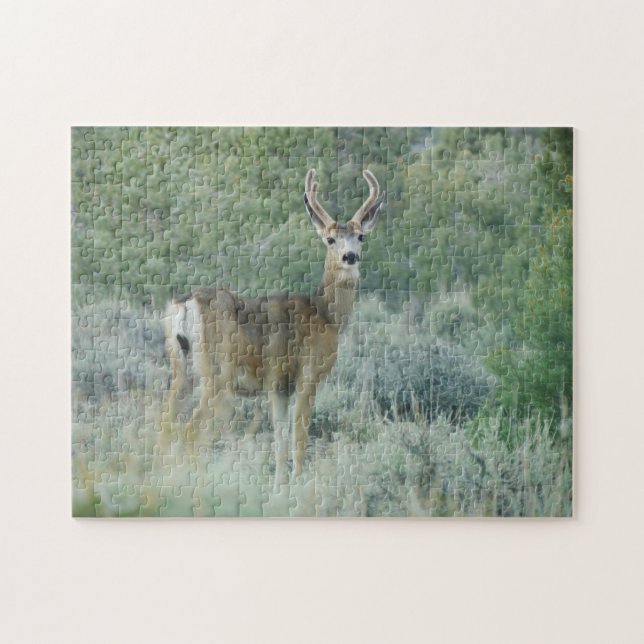 Deer Jigsaw Puzzle (Horizontal)