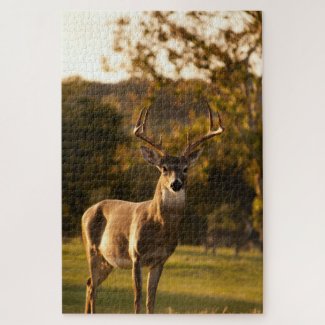 Deer Jigsaw Puzzle 1,014 pieces