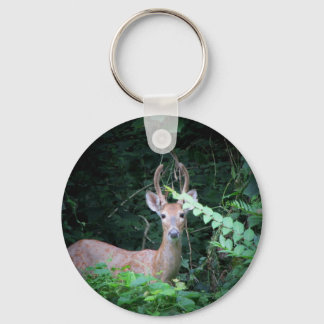 Deer Keychain
