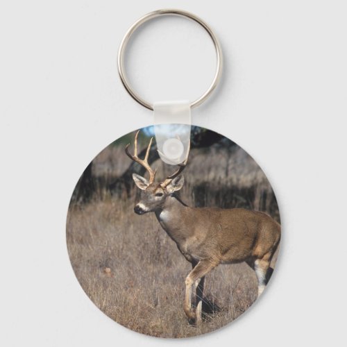 Deer Keychain