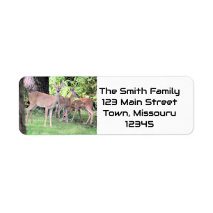 Deer Label