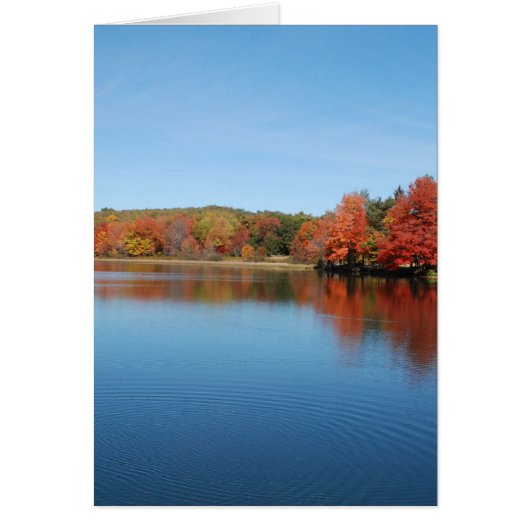 Deer Lake Cards (Front)
